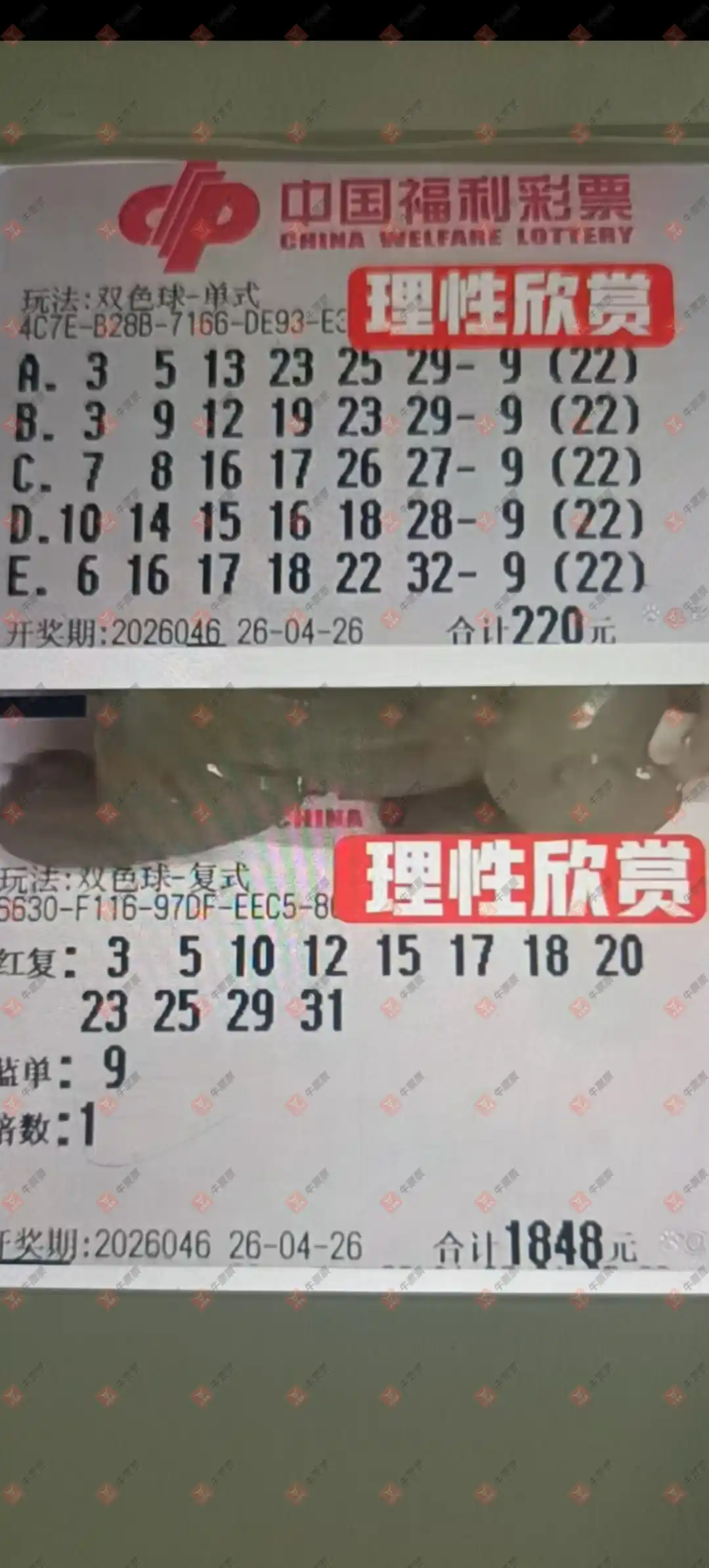 [˫ɫ��] 26046�ڣ����Ľ��ǽ���ɹƱ623 / ����:���Ľ��� / ����ID:1249856