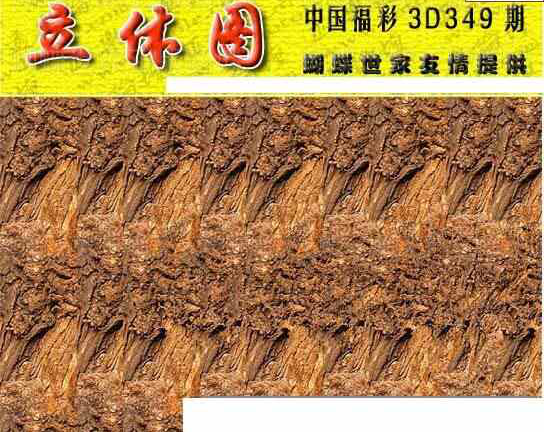 23349期: 3D蝴蝶世家蝴蝶彩图