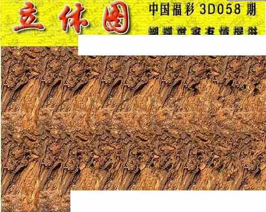 24058期: 3D蝴蝶世家蝴蝶彩图