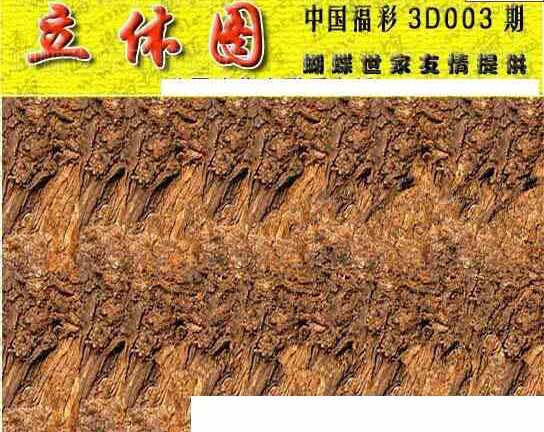 24003期: 3D蝴蝶世家蝴蝶彩图