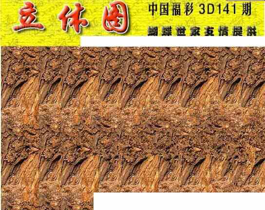 23141期: 3D蝴蝶世家蝴蝶彩图