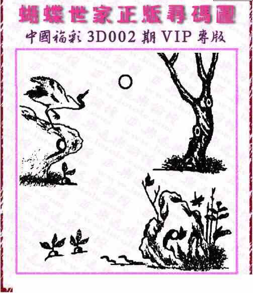 24002期: 3D蝴蝶世家蝴蝶彩图