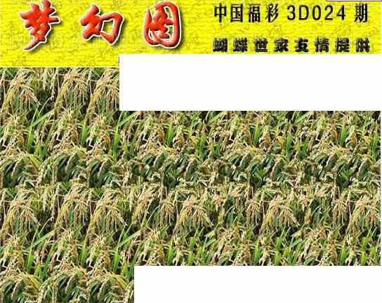 24024期: 3D蝴蝶世家蝴蝶彩图