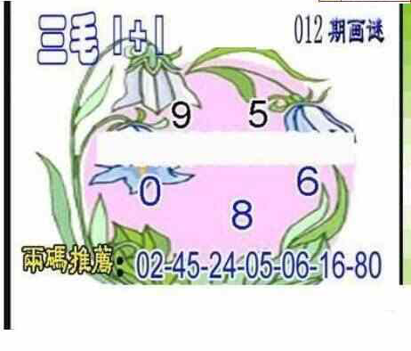 24012期: 三毛3D精品图谜