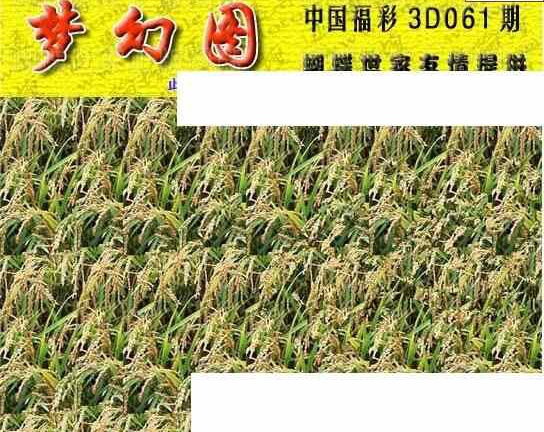 24061期: 3D蝴蝶世家蝴蝶彩图