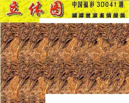 24041期: 3D蝴蝶世家蝴蝶彩图