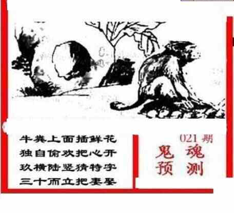 24021期: 三毛3D精品图谜