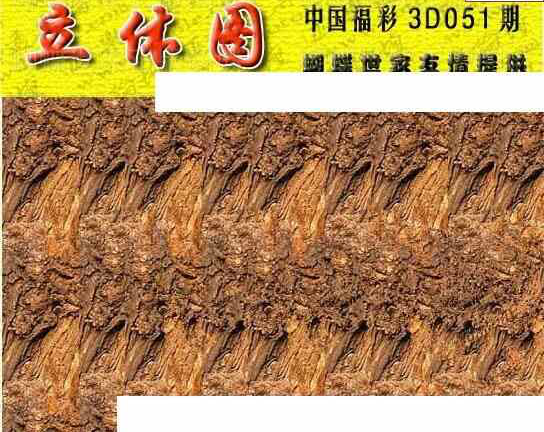 24051期: 3D蝴蝶世家蝴蝶彩图