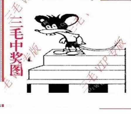 24064期: 三毛3D精品图谜