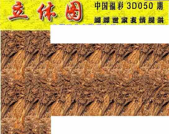 24050期: 3D蝴蝶世家蝴蝶彩图