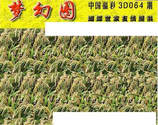 24064期: 3D蝴蝶世家蝴蝶彩图