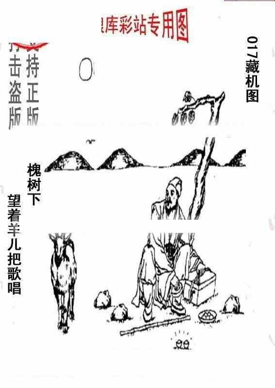 24017期: 老村长福彩3D天天图谜