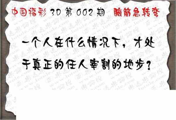 24002期: 3D蝴蝶世家蝴蝶彩图