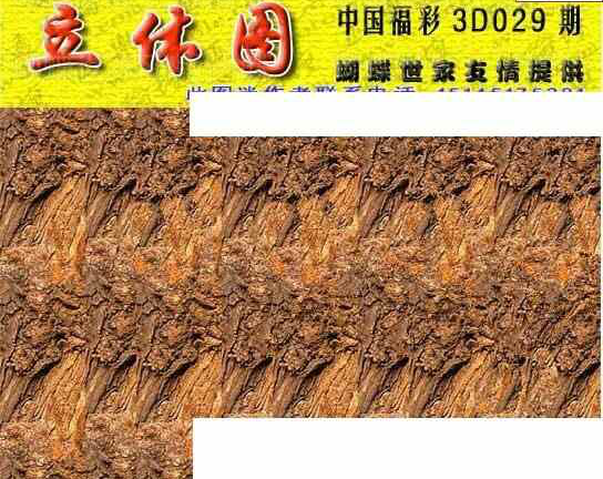 24029期: 3D蝴蝶世家蝴蝶彩图