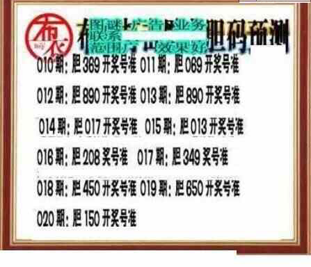 24020期: 三毛3D精品图谜