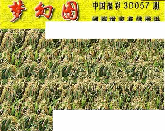 24057期: 3D蝴蝶世家蝴蝶彩图