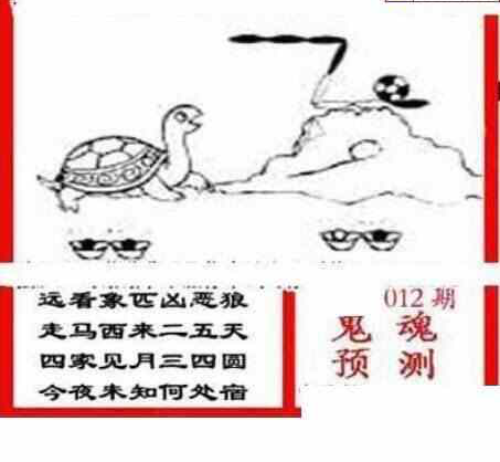 24012期: 三毛3D精品图谜