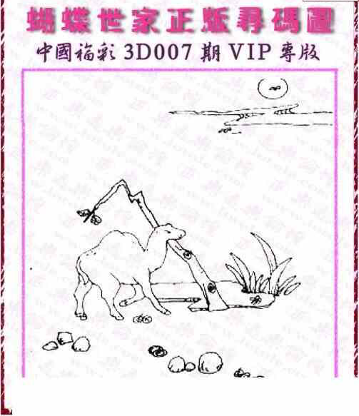 24007期: 3D蝴蝶世家蝴蝶彩图