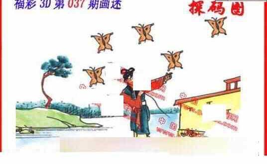 24037期: 福彩3D丹东全图分析