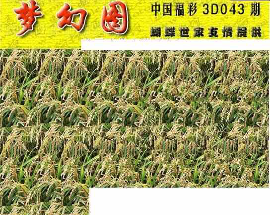 24043期: 3D蝴蝶世家蝴蝶彩图