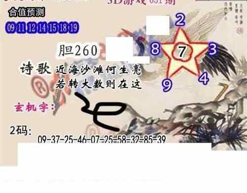 24051期: 白老3D杀码图版