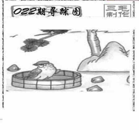 24022期: 三毛3D精品图谜