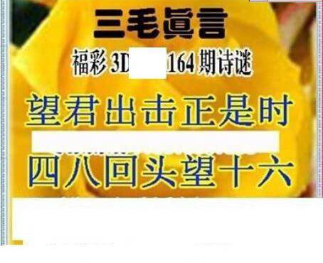 23164期: 三毛3D精品图谜