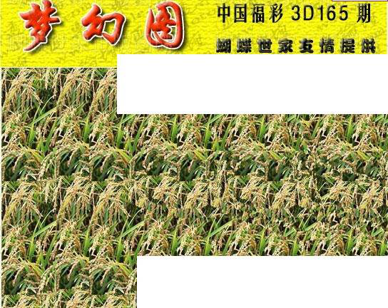 23165期: 3D蝴蝶世家蝴蝶彩图