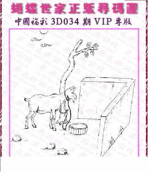 24034期: 3D蝴蝶世家蝴蝶彩图