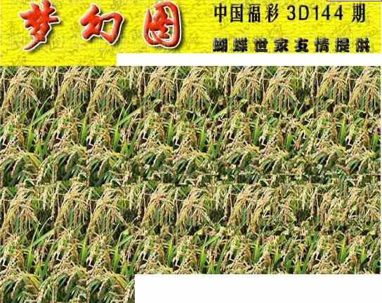 23144期: 3D蝴蝶世家蝴蝶彩图