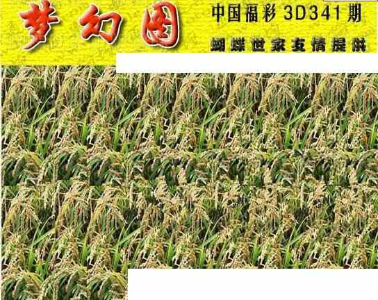 23341期: 3D蝴蝶世家蝴蝶彩图