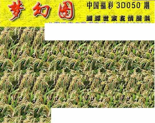 24050期: 3D蝴蝶世家蝴蝶彩图