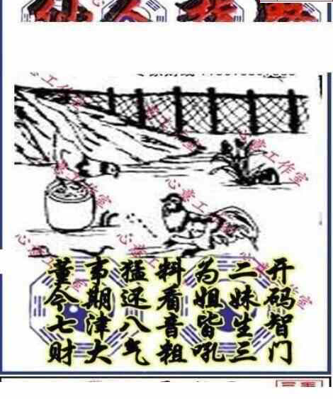 24011期: 三毛3D精品图谜