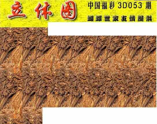 24053期: 3D蝴蝶世家蝴蝶彩图