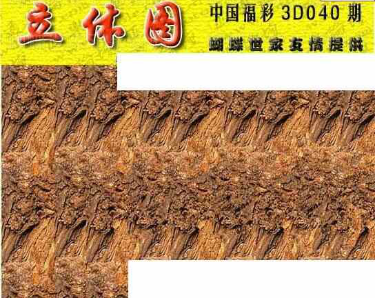 24040期: 3D蝴蝶世家蝴蝶彩图