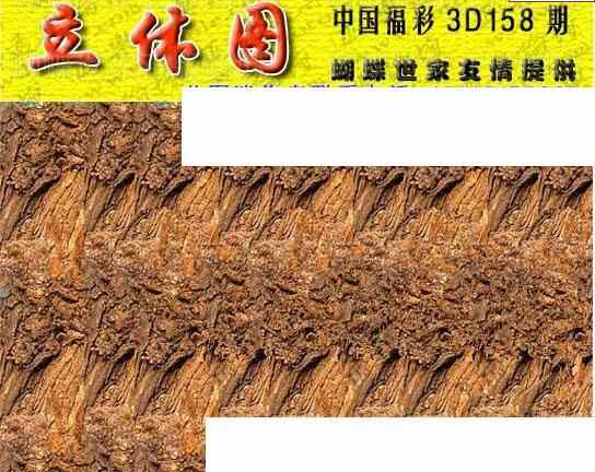 23158期: 3D蝴蝶世家蝴蝶彩图