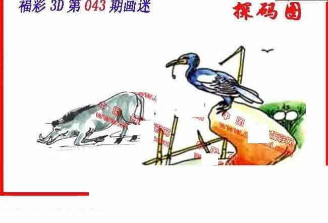 24043期: 福彩3D丹东全图分析