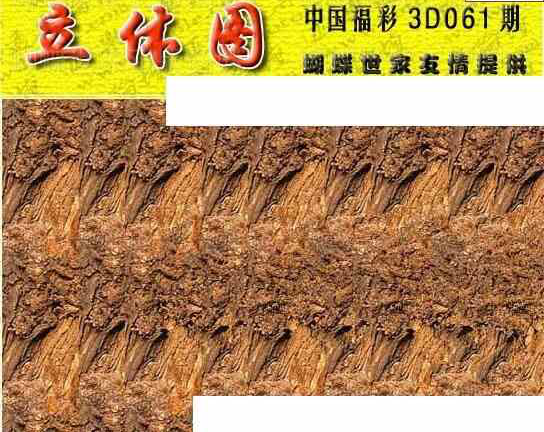 24061期: 3D蝴蝶世家蝴蝶彩图