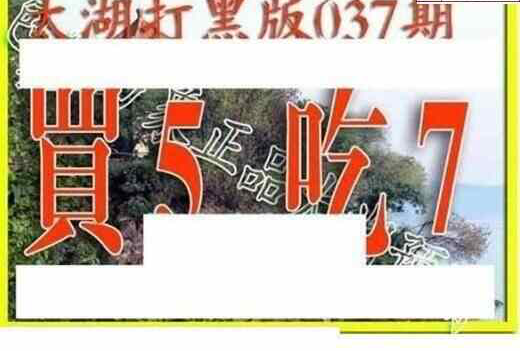 24037期: 太湖图福彩3D精品预测