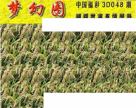 24048期: 3D蝴蝶世家蝴蝶彩图