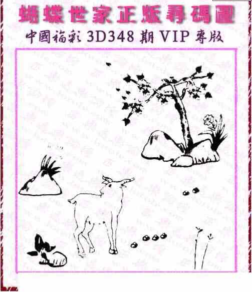 23348期: 3D蝴蝶世家蝴蝶彩图