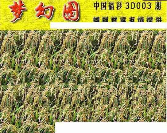 24003期: 3D蝴蝶世家蝴蝶彩图