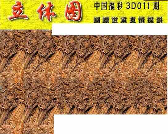 24011期: 3D蝴蝶世家蝴蝶彩图