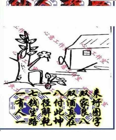 24012期: 三毛3D精品图谜