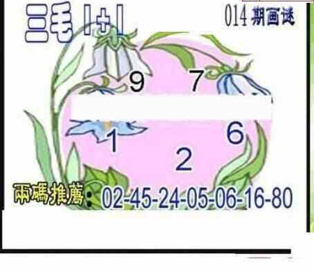 24014期: 三毛3D精品图谜