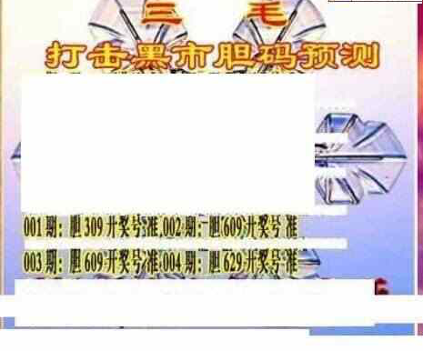 24004期: 三毛3D精品图谜