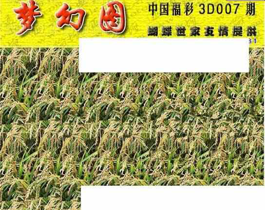 24007期: 3D蝴蝶世家蝴蝶彩图