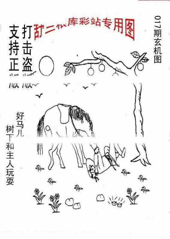 24017期: 老村长福彩3D天天图谜