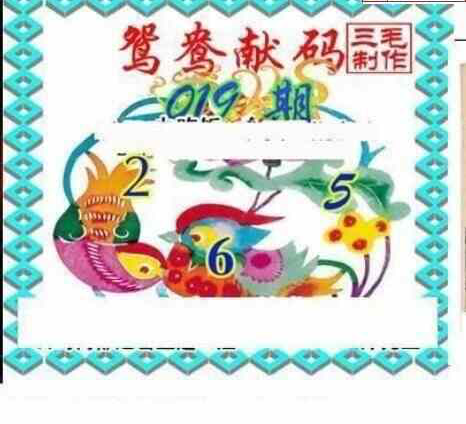 24019期: 三毛3D精品图谜