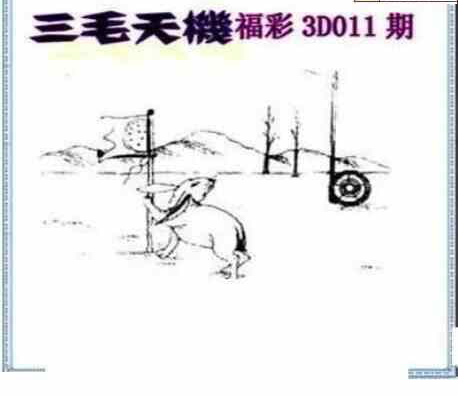 24011期: 三毛3D精品图谜